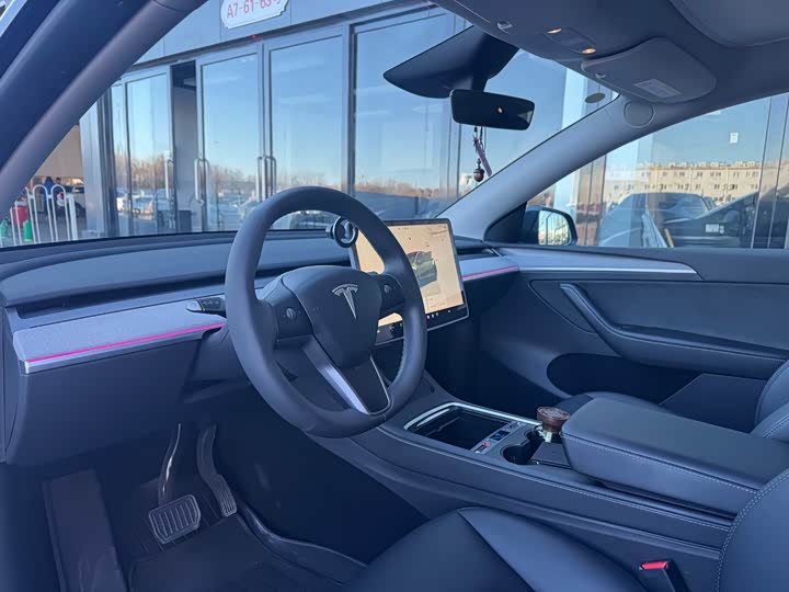Tesla Model Y 2024 2024款 后轮驱动版