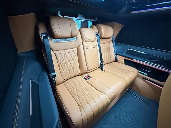 Mercedes-Benz V-Class 2024 2024款 V 300 L 长轴距豪华版