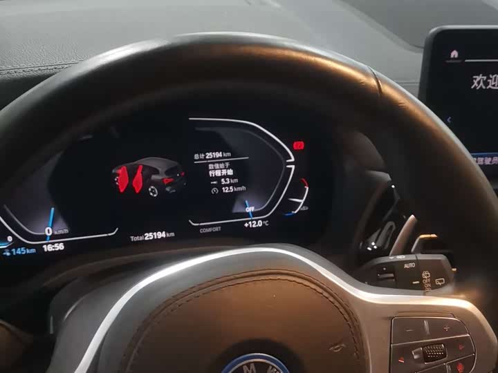 BMW iX3 2024 2024款 领先型