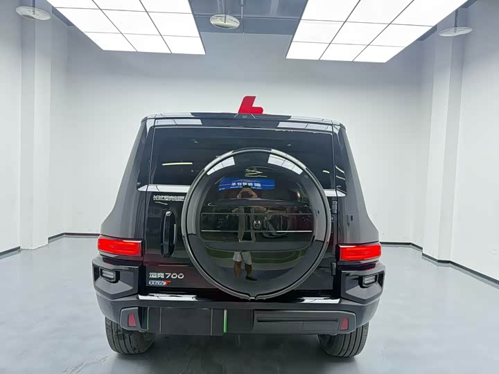 Tank 700 Hybrid 2024 2024款 Hi4-T 极境版