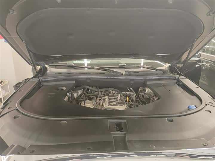 Hongqi HS7 2022 2022款 2.0T DCT两驱智联旗享版 五座