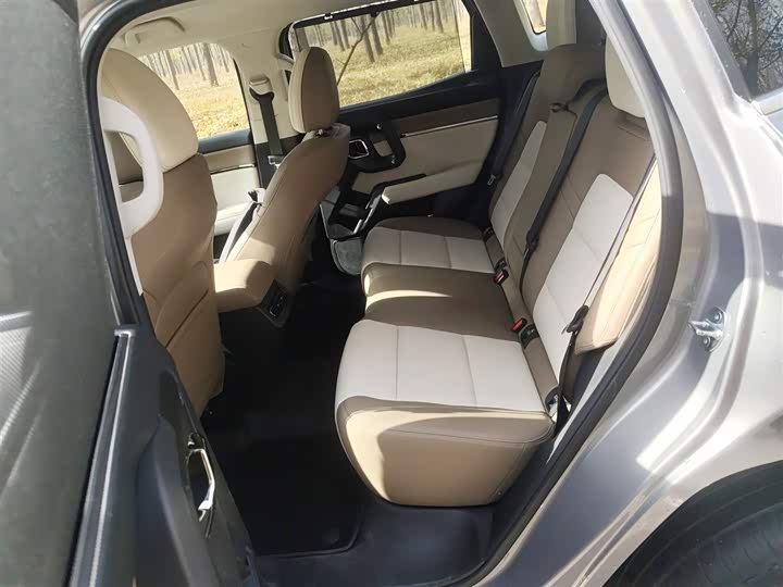 Haval H-Dog Hybrid 2024 2024款 Hi4 102km 潮电版Plus