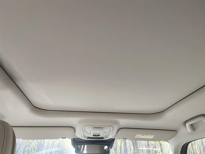 Haval H-Dog Hybrid 2024 2024款 Hi4 102km 潮电版Plus