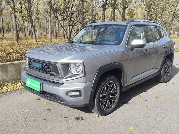 2024 Haval H-Dog Hybrid