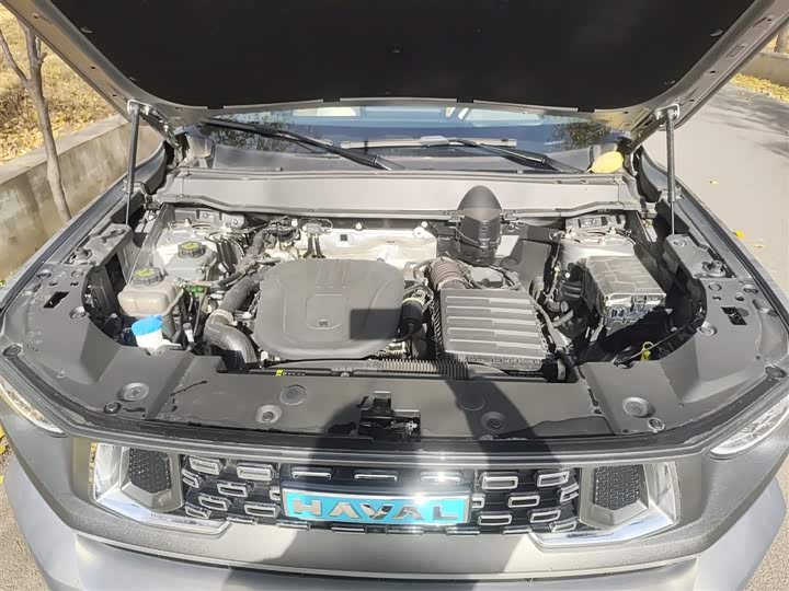 Haval H-Dog Hybrid 2024 2024款 Hi4 102km 潮电版Plus