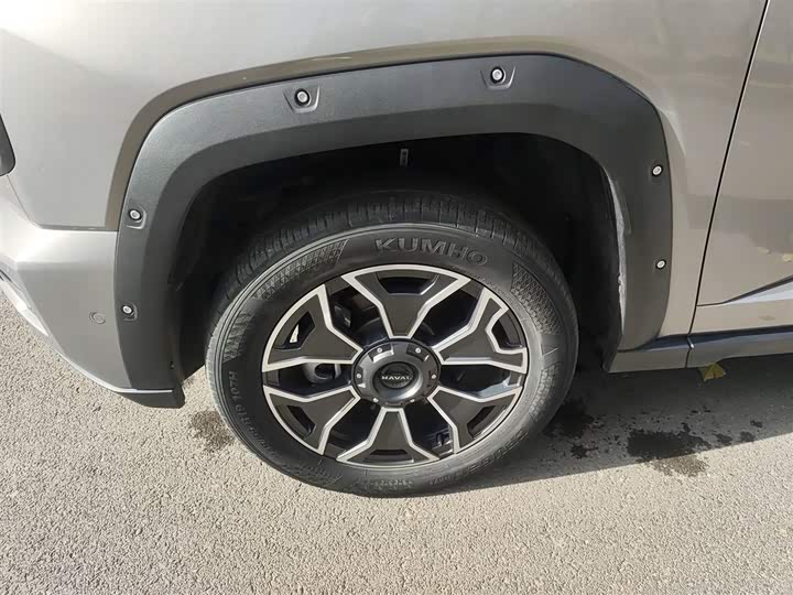 Haval H-Dog Hybrid 2024 2024款 Hi4 102km 潮电版Plus