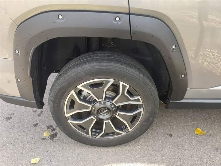 Haval H-Dog Hybrid 2024 2024款 Hi4 102km 潮电版Plus