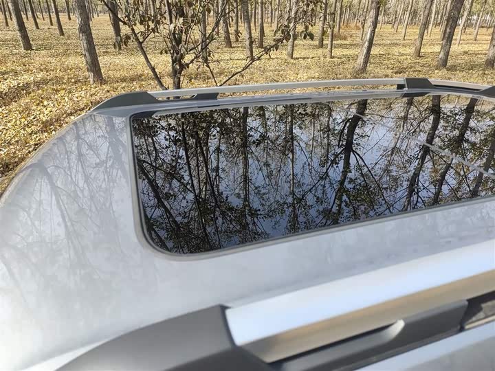 Haval H-Dog Hybrid 2024 2024款 Hi4 102km 潮电版Plus