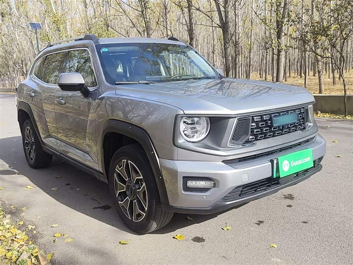 2024 Haval H-Dog Hybrid