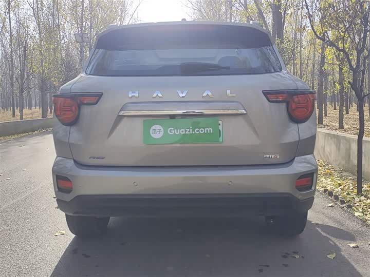 Haval H-Dog Hybrid 2024 2024款 Hi4 102km 潮电版Plus