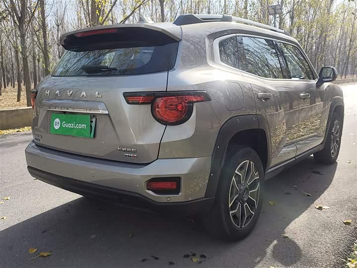 Haval H-Dog Hybrid 2024 2024款 Hi4 102km 潮电版Plus