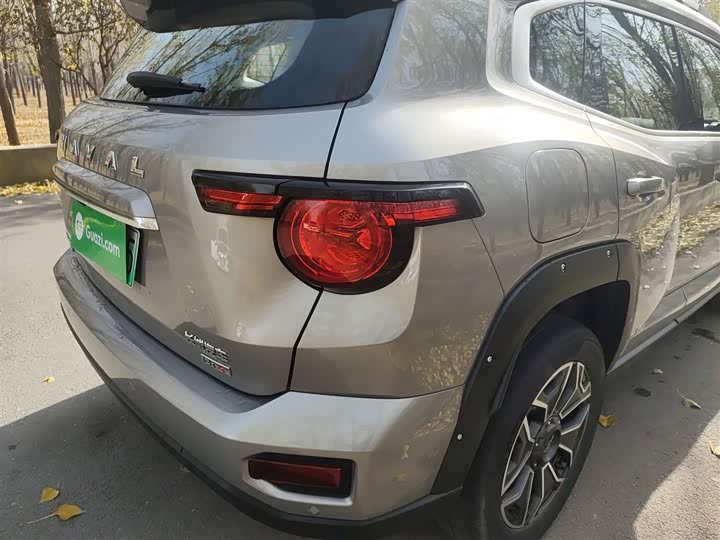 Haval H-Dog Hybrid 2024 2024款 Hi4 102km 潮电版Plus