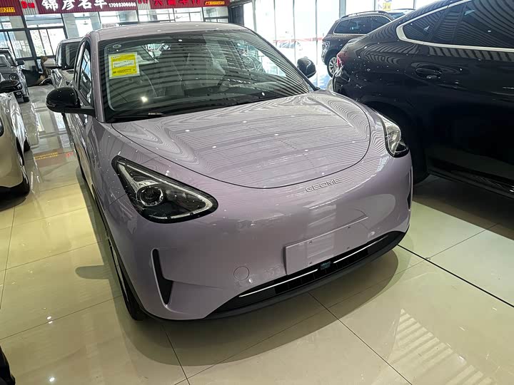Geely Galaxy Geome 2026 2026款 310km 青春版