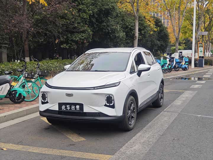 Geely Geometry E Firefly 2024 2024款 401km 萤光