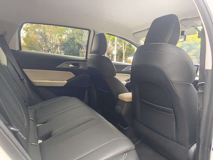 Geely Geometry E Firefly 2024 2024款 401km 萤光