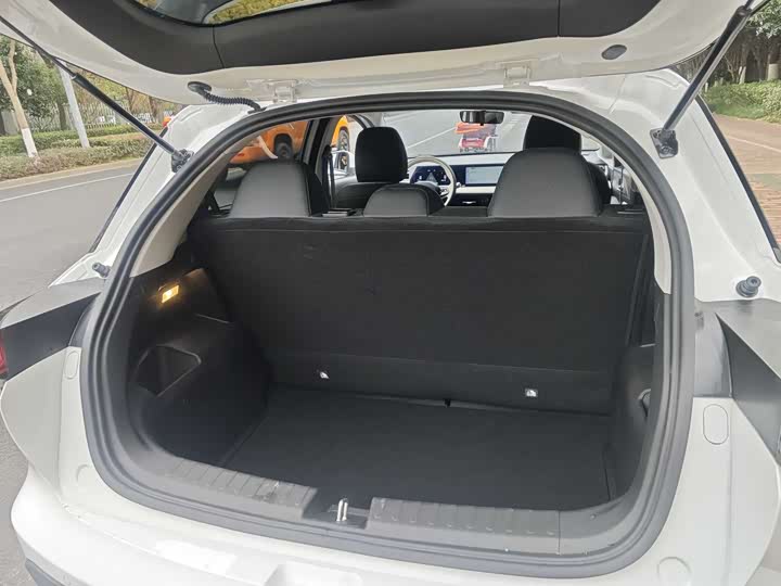 Geely Geometry E Firefly 2024 2024款 401km 萤光