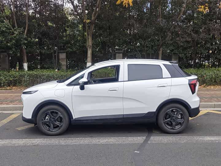 Geely Geometry E Firefly 2024 2024款 401km 萤光