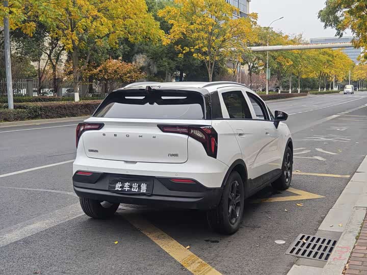 Geely Geometry E Firefly 2024 2024款 401km 萤光