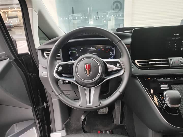 Hongqi HQ9 2024 2024款 2.0T 豪华版