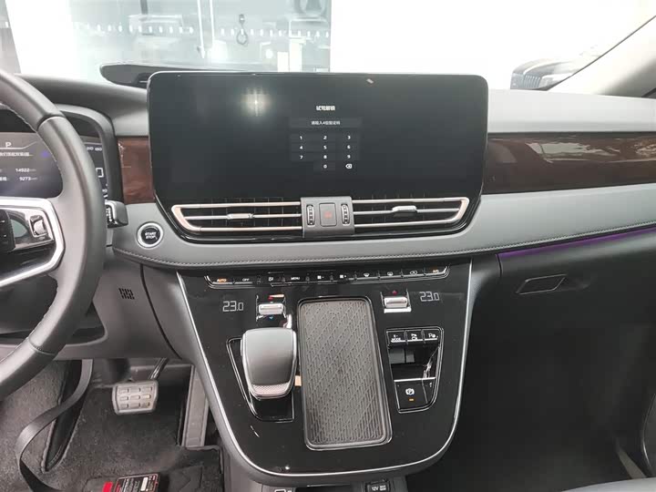 Hongqi HQ9 2024 2024款 2.0T 豪华版