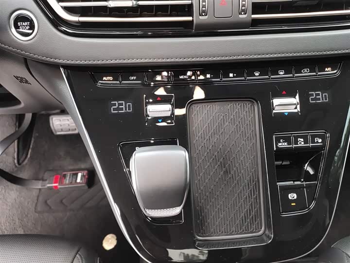 Hongqi HQ9 2024 2024款 2.0T 豪华版