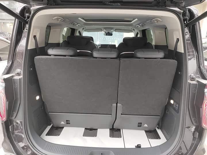 Hongqi HQ9 2024 2024款 2.0T 豪华版