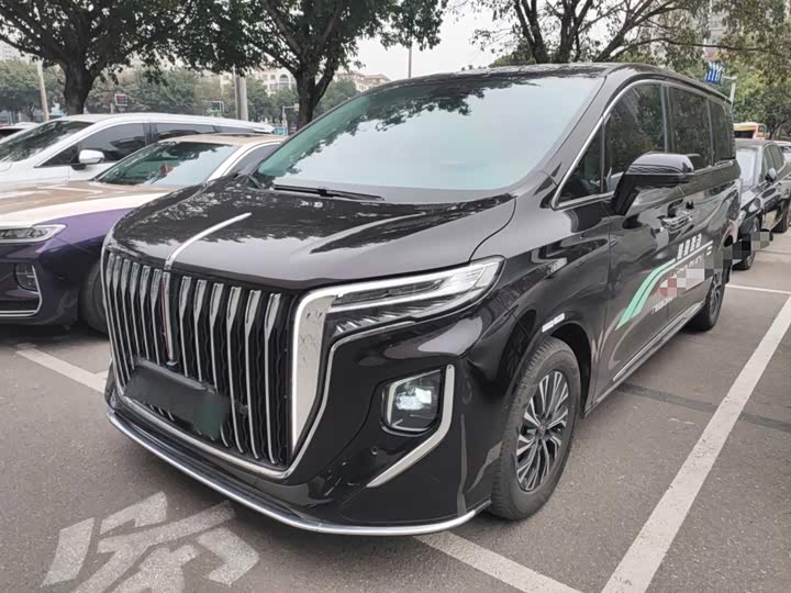 Hongqi HQ9 2024 2024款 2.0T 豪华版