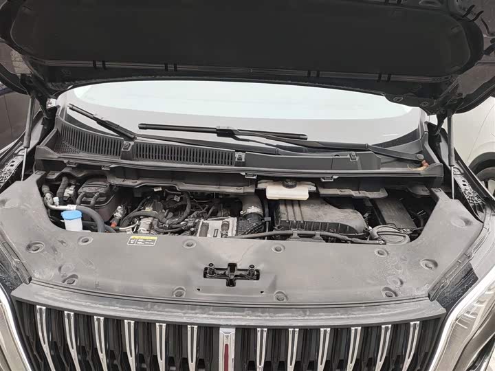 Hongqi HQ9 2024 2024款 2.0T 豪华版