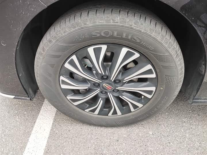 Hongqi HQ9 2024 2024款 2.0T 豪华版