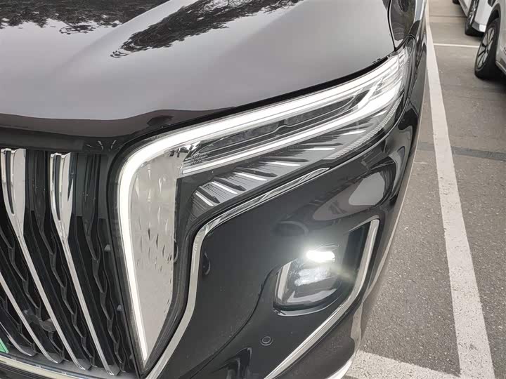 Hongqi HQ9 2024 2024款 2.0T 豪华版