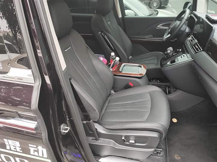 Hongqi HQ9 2024 2024款 2.0T 豪华版