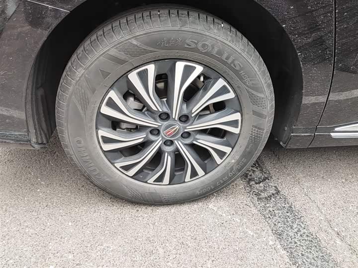 Hongqi HQ9 2024 2024款 2.0T 豪华版