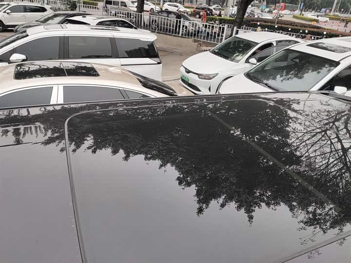 Hongqi HQ9 2024 2024款 2.0T 豪华版