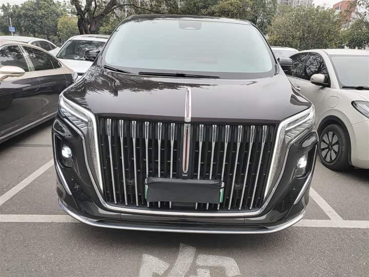 Hongqi HQ9 2024 2024款 2.0T 豪华版