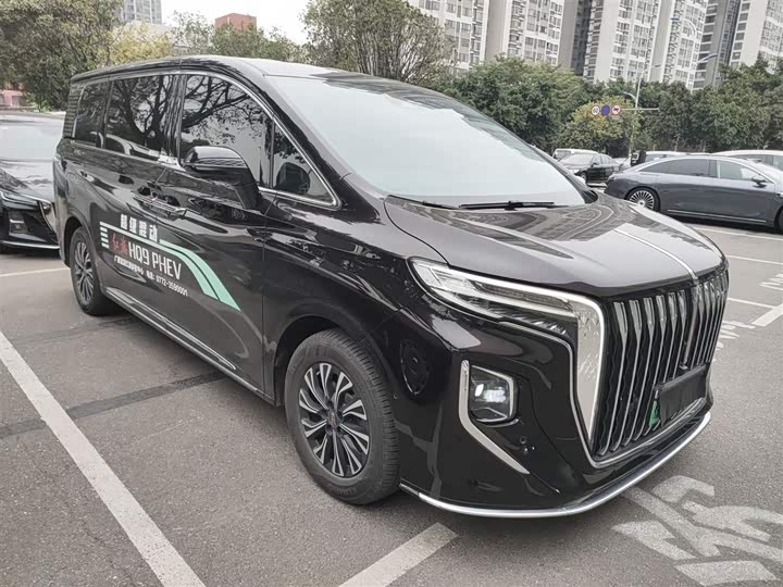 Hongqi HQ9 2024 2024款 2.0T 豪华版