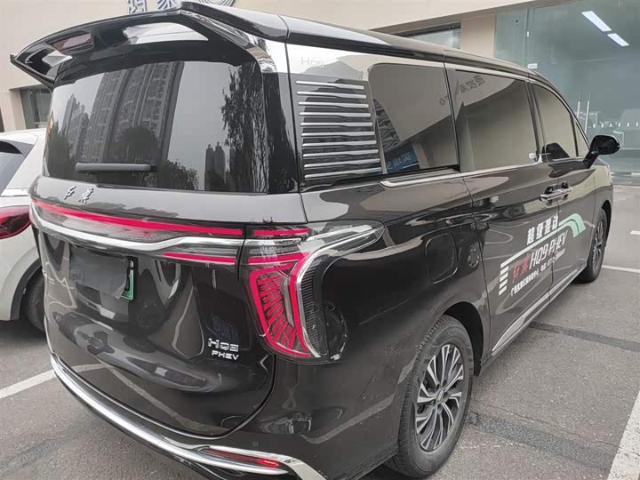 Hongqi HQ9 2024 2024款 2.0T 豪华版