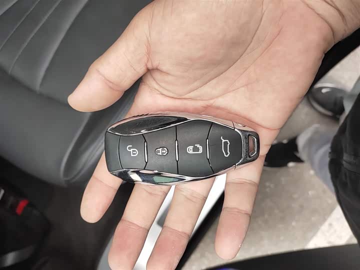 Hongqi HQ9 2024 2024款 2.0T 豪华版