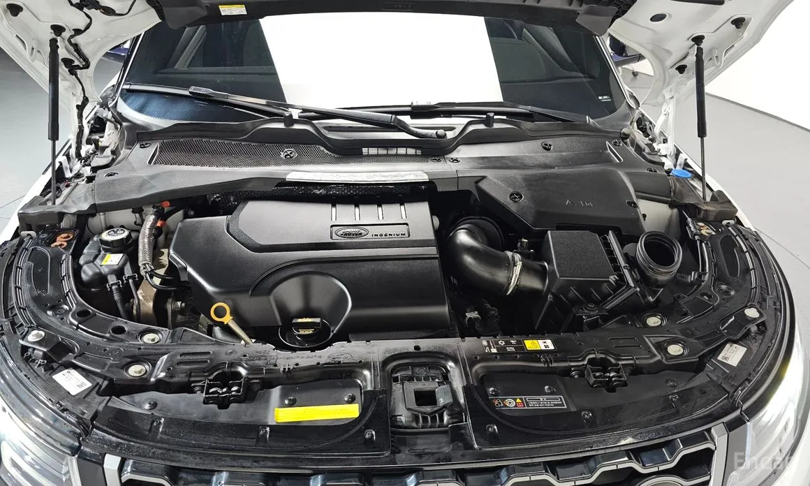 Land Rover Range Rover Evoque 2019 P250 R-Dynamic SE