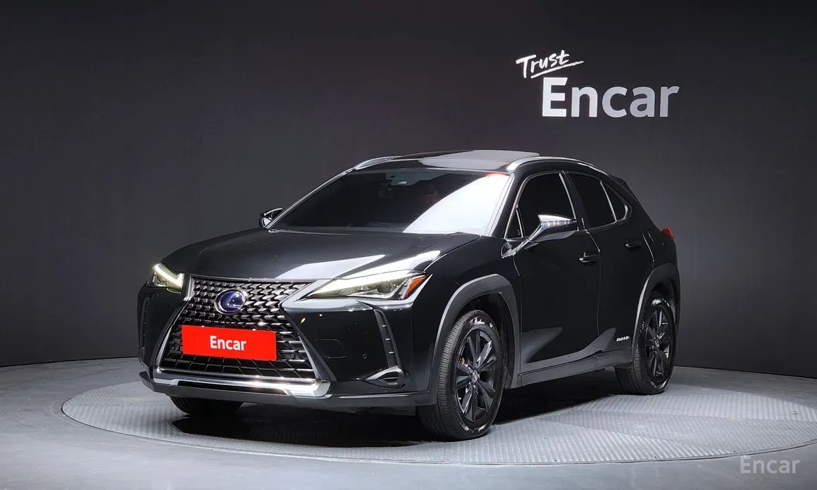 Lexus UX 2019 2.0 2WD
