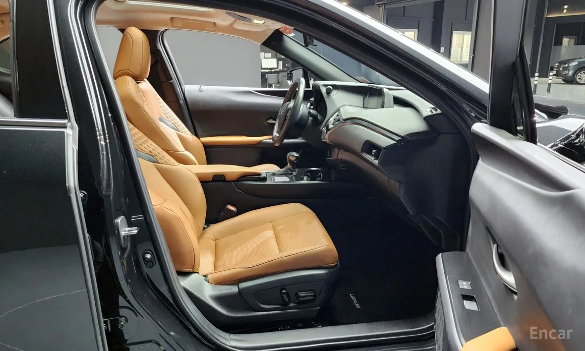 Lexus UX 2019 2.0 2WD