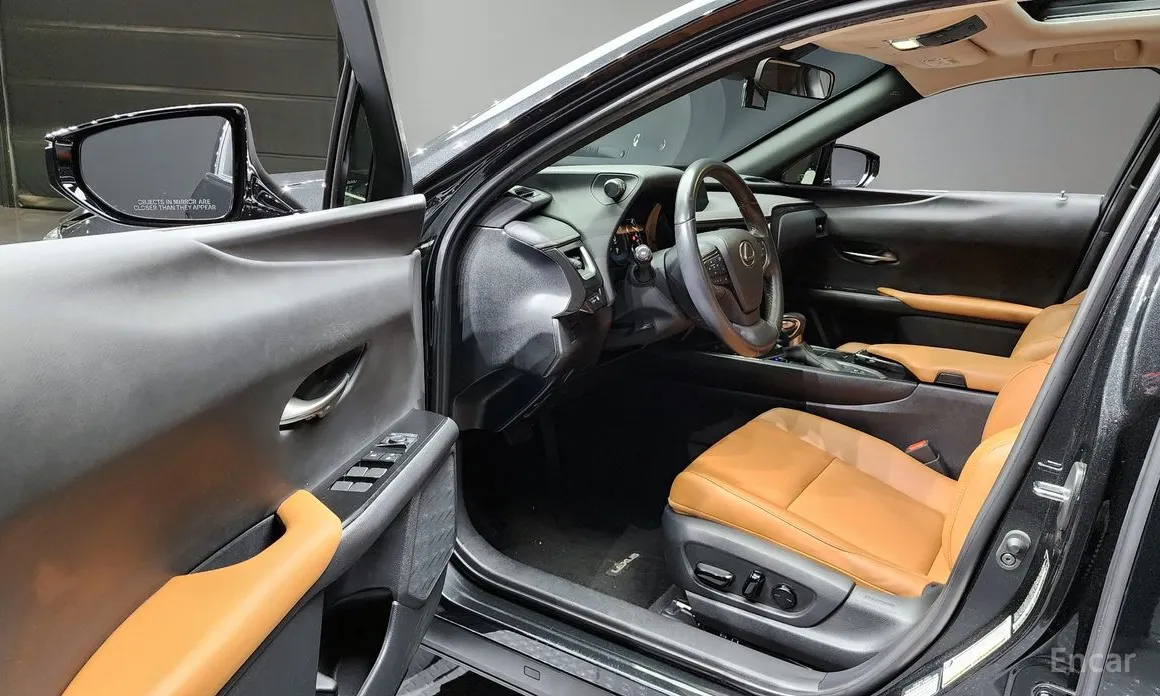 Lexus UX 2019 2.0 2WD