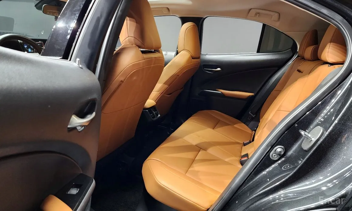 Lexus UX 2019 2.0 2WD