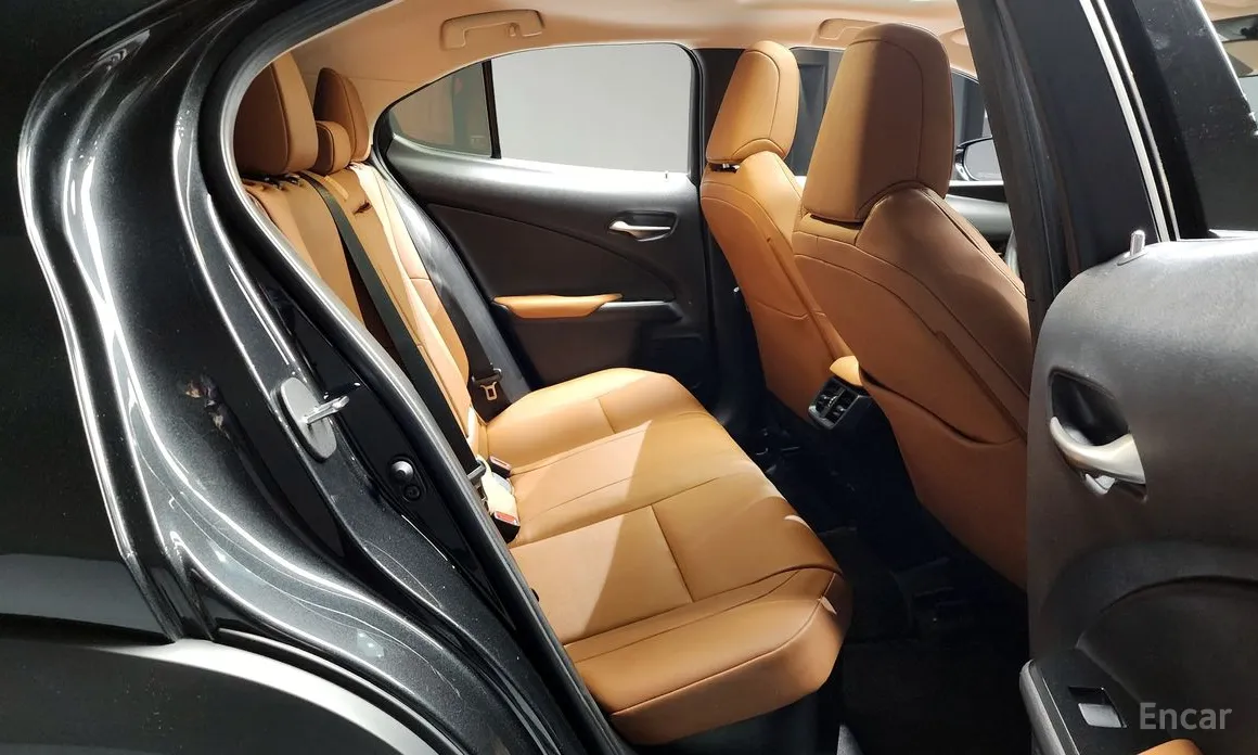 Lexus UX 2019 2.0 2WD