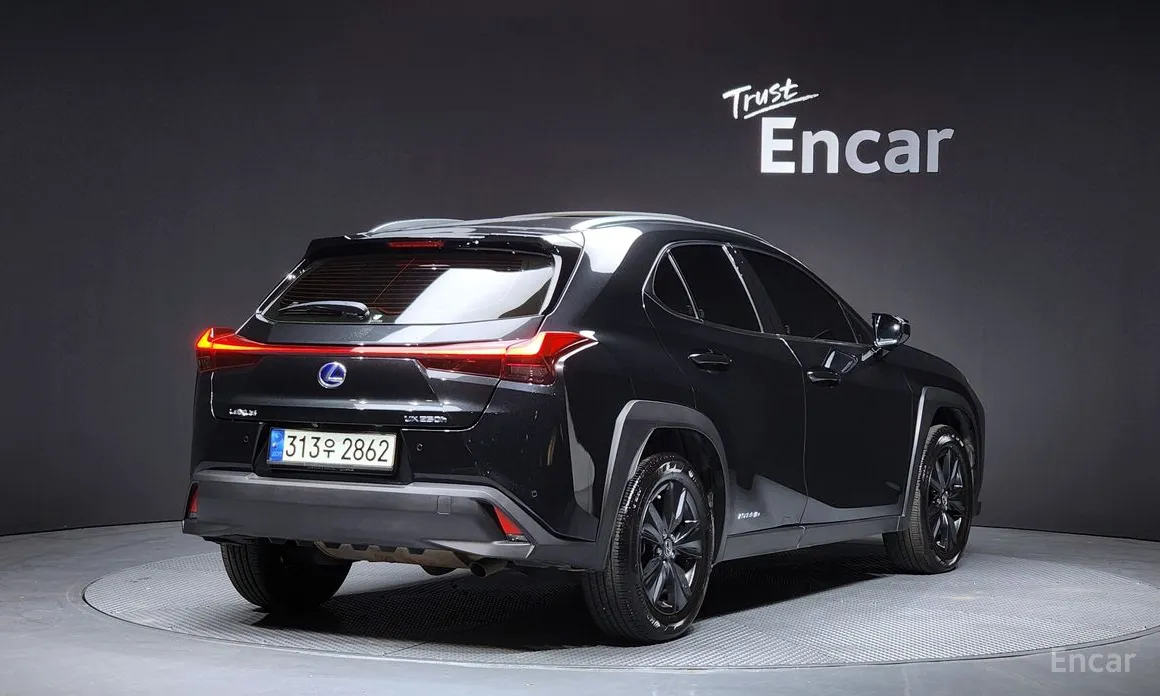 Lexus UX 2019 2.0 2WD