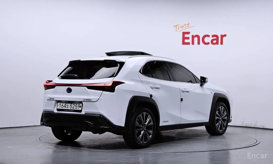 Lexus UX 2019 2.0 F-Sport 2WD