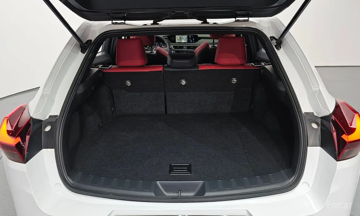 Lexus UX 2019 2.0 F-Sport 2WD