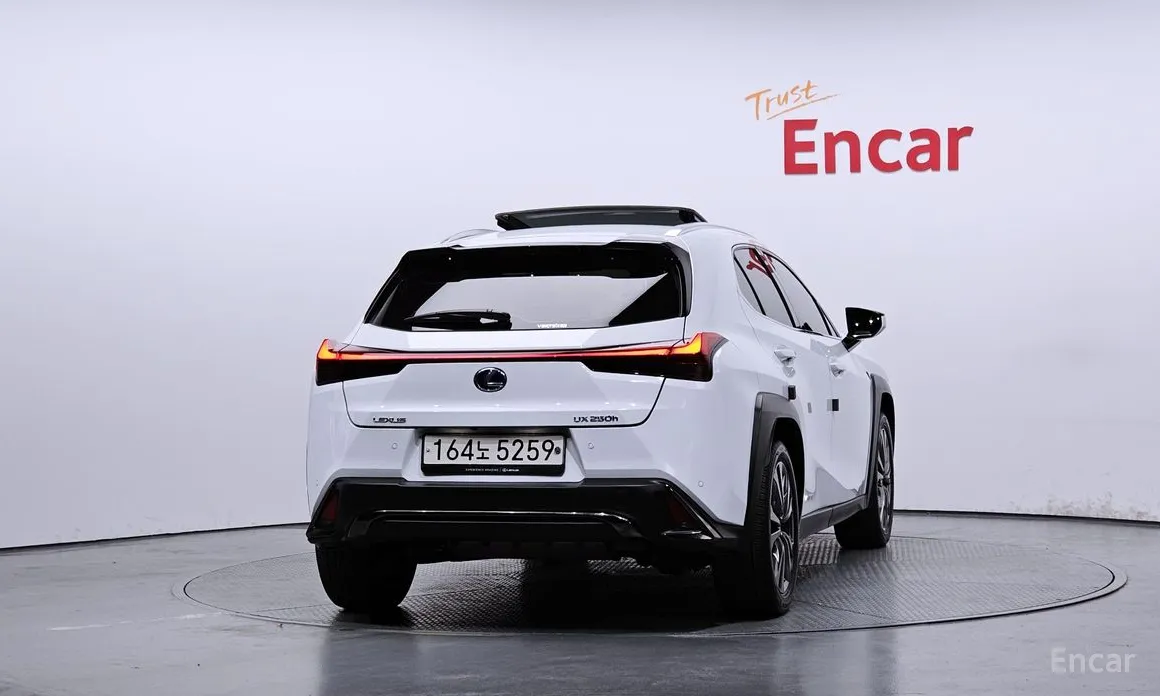 Lexus UX 2019 2.0 F-Sport 2WD