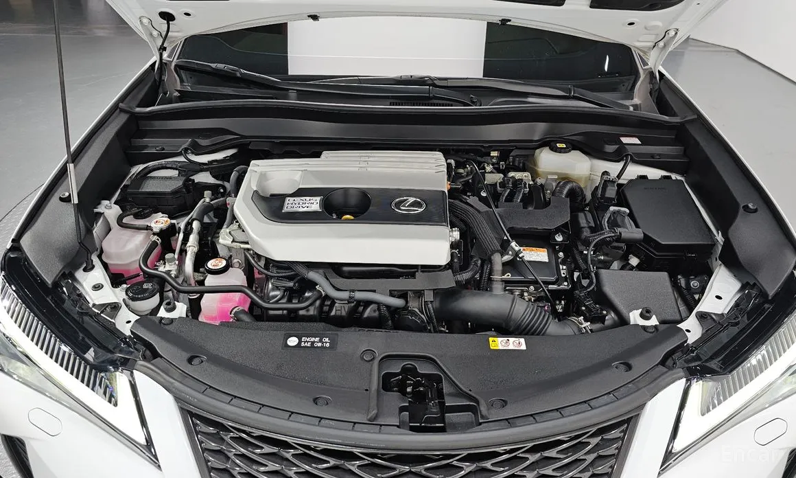 Lexus UX 2019 2.0 F-Sport 2WD