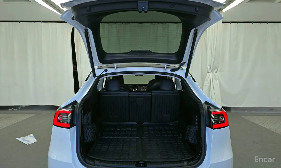 Tesla Model Y 2020 Performance