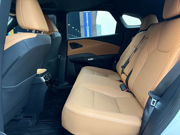 Lexus RX 2025 2025款 300 四驱骏享版